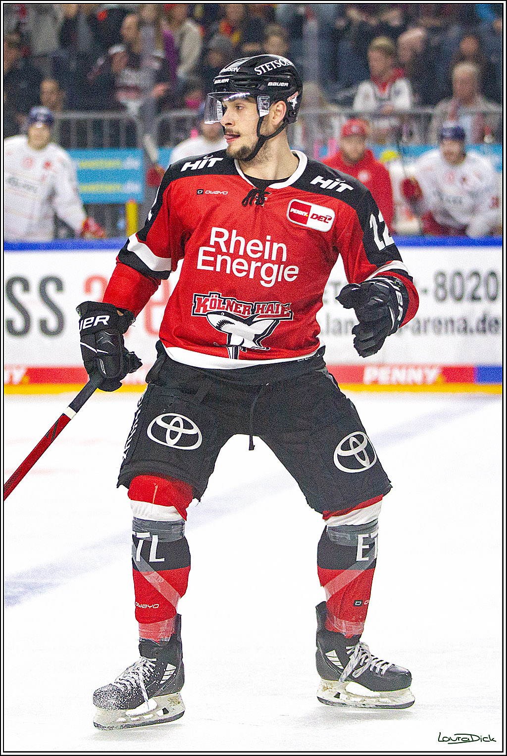 PENNY DEL;  Koelner Haie - Duesseldorfer EG; Koeln, 19.10.2021
